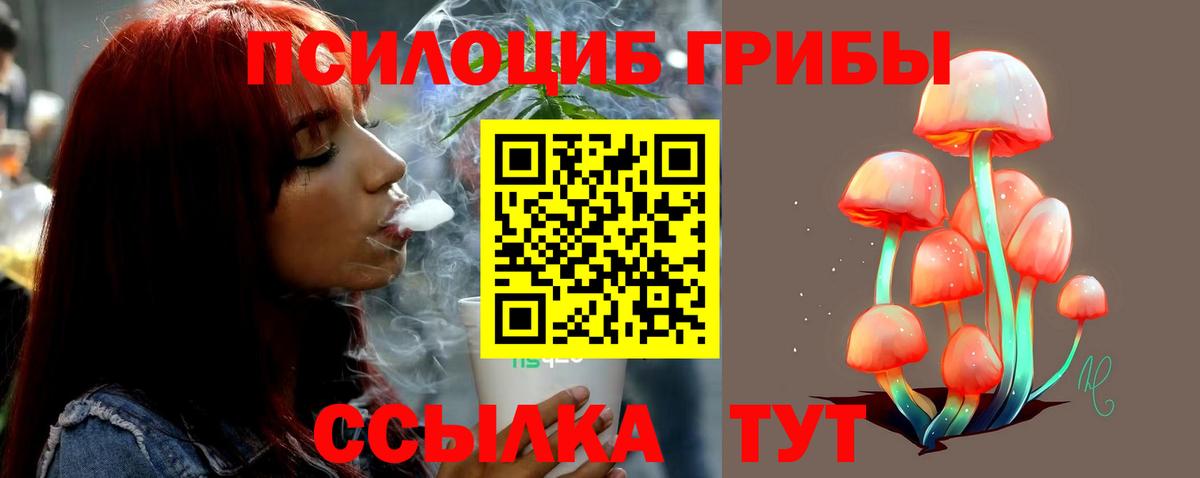 Псилоцибиновые грибы Psilocybine cubensis  Вход с VPN  Зеленокумск 